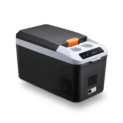 12 V Portable Cooler Cooler Warmer